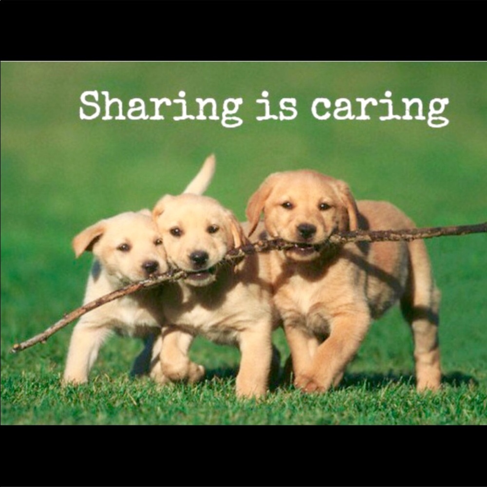 Sharing is caring!